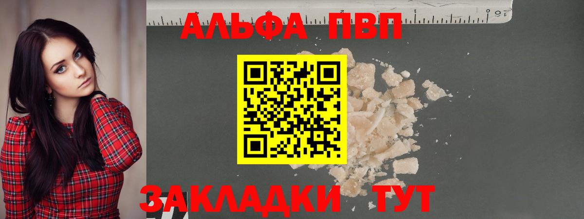 Альфа ПВП СК КРИС Зерноград