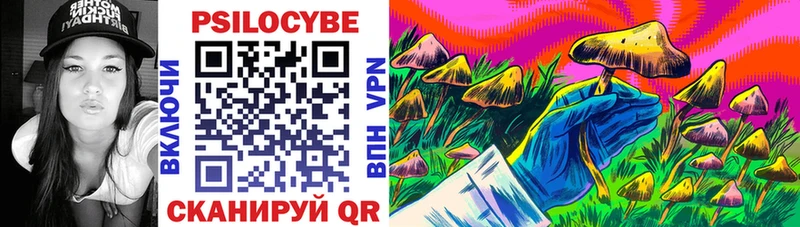 Псилоцибиновые грибы Psilocybine cubensis  дарк нет какой сайт  Зерноград  blacksprut ТОР 