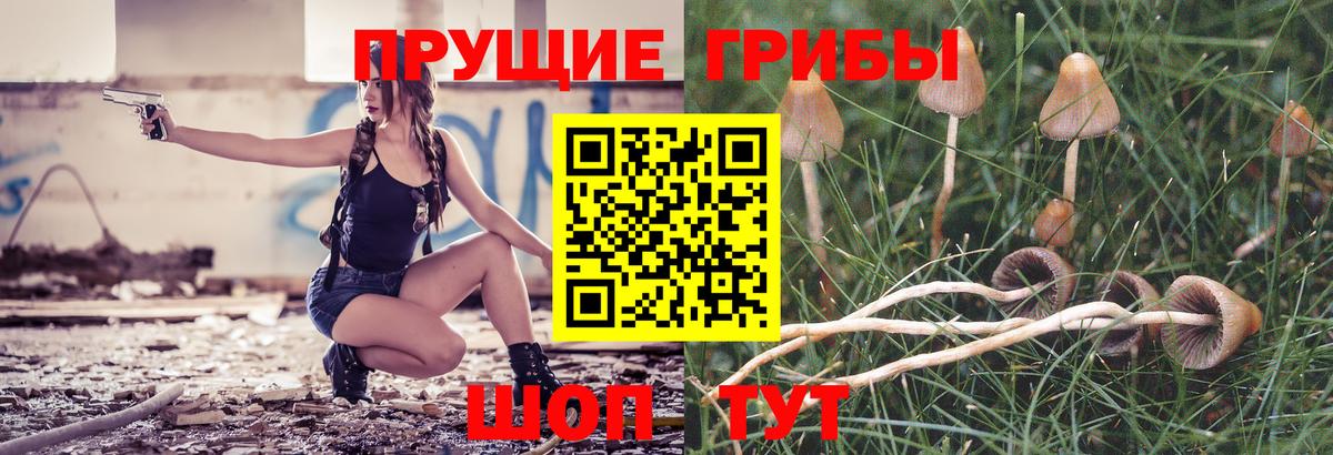 Псилоцибиновые грибы прущие грибы  Вход с VPN  Зерноград  Псилоцибиновые грибы MAGIC MUSHROOMS 