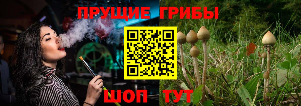 Псилоцибиновые грибы мицелий Зерноград