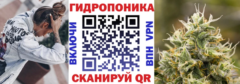Бошки марихуана конопля Зерноград