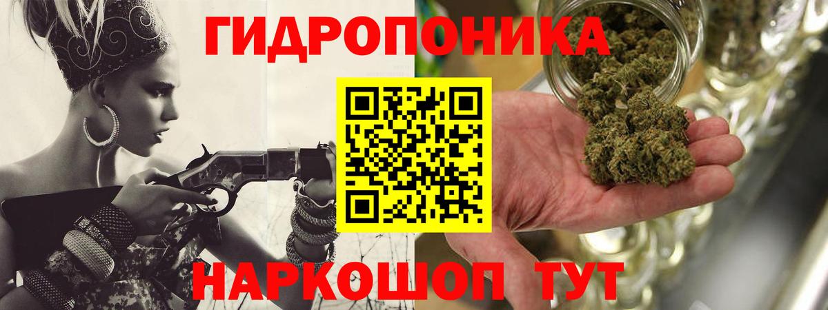 Каннабис OG Kush Зерноград